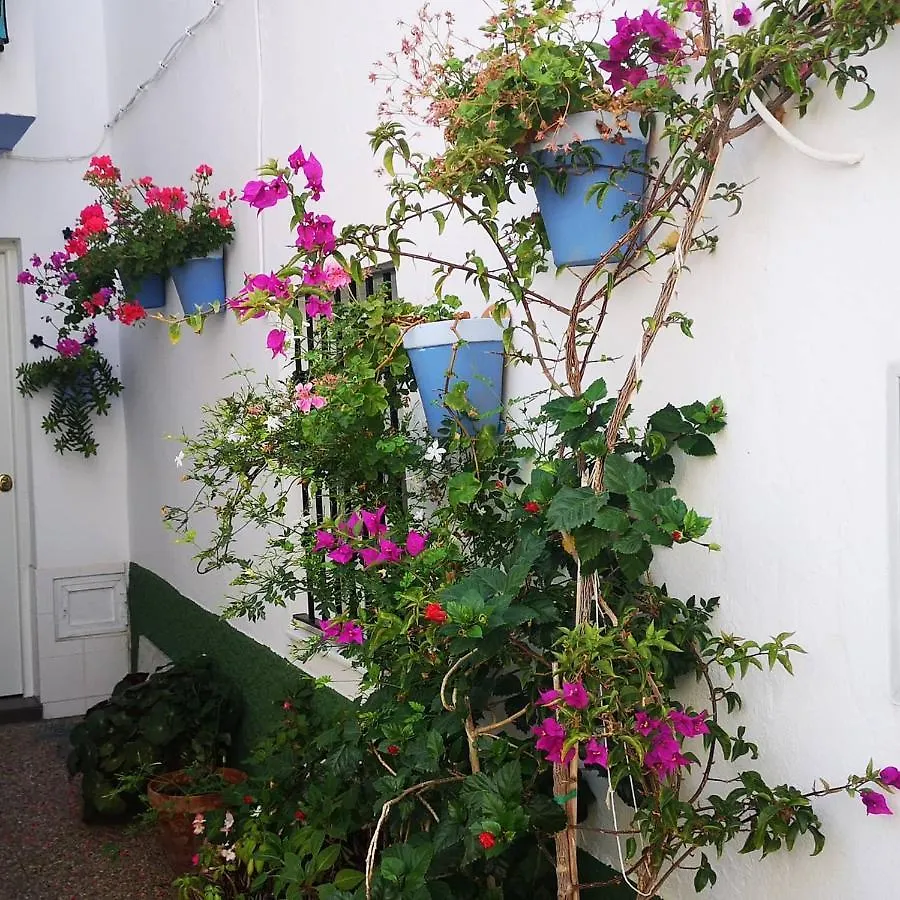 Apartamento ConilPlus Casa MANOLETE Conil De La Frontera